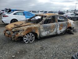 Salvage cars for sale at Sacramento, CA auction: 2010 Honda Accord LX