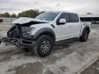 2018 Ford F150 Raptor