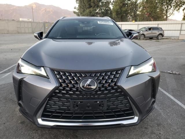 2019 Lexus UX 200