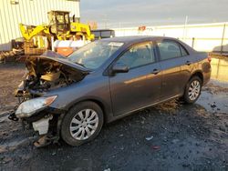 Salvage cars for sale from Copart Airway Heights, WA: 2012 Toyota Corolla Base