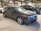 2010 Acura TSX