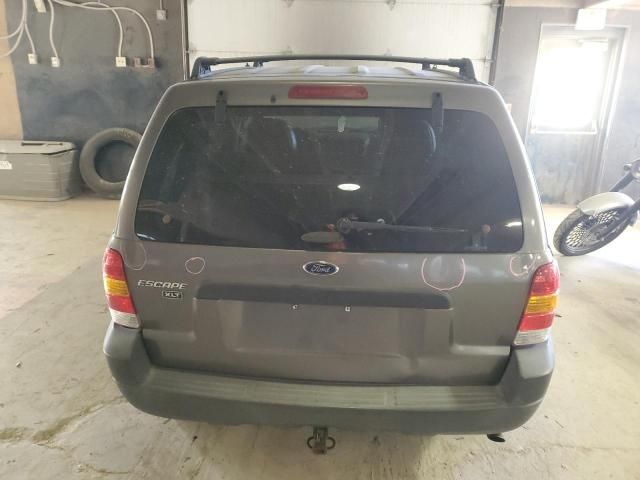 2003 Ford Escape XLT