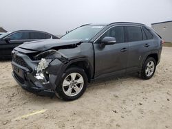 Salvage cars for sale at Taylor, TX auction: 2019 Toyota Rav4 XLE