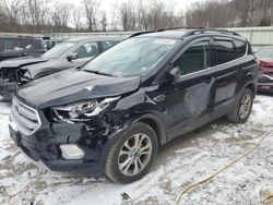 Salvage cars for sale at Ellwood City, PA auction: 2018 Ford Escape SE