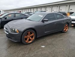 Salvage cars for sale at Louisville, KY auction: 2013 Dodge Charger SE