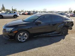 Salvage cars for sale at auction: 2016 Honda Civic LX