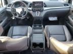 2019 Honda Odyssey EXL