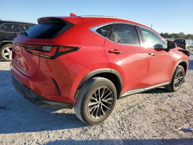 2023 Lexus NX 250