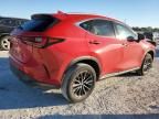 2023 Lexus NX 250