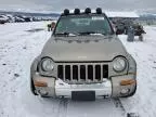 2003 Jeep Liberty Renegade