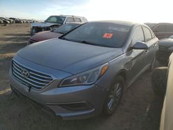 Hyundai salvage cars for sale: 2016 Hyundai Sonata SE