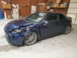 Salvage cars for sale at Ebensburg, PA auction: 2011 Scion TC