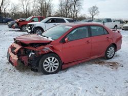 Salvage cars for sale at Cicero, IN auction: 2010 Toyota Corolla Base