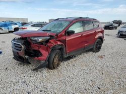 Salvage cars for sale at Taylor, TX auction: 2019 Ford Escape SE