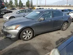 Honda Accord exl salvage cars for sale: 2008 Honda Accord EXL