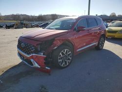 Salvage cars for sale at Lebanon, TN auction: 2023 Hyundai Santa FE Calligraphy