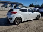 2014 Hyundai Veloster Turbo