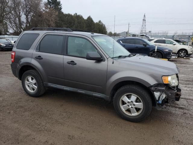 2010 Ford Escape XLT