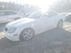 2001 Mercedes-Benz SLK 320