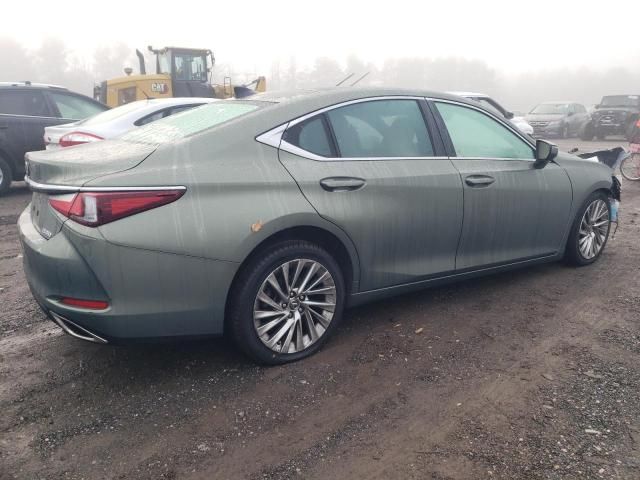 2019 Lexus ES 350