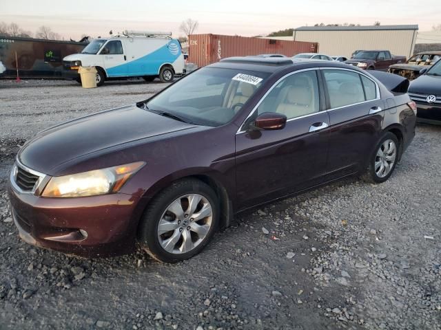 2010 Honda Accord EXL