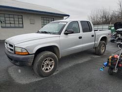 Salvage cars for sale from Copart Grantville, PA: 2003 Dodge Dakota Quad Sport