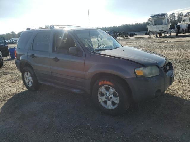 2006 Ford Escape XLT