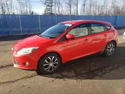 Ford salvage cars for sale: 2012 Ford Focus SE