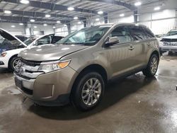 2013 Ford Edge SEL en venta en Ham Lake, MN