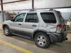 2005 Ford Escape XLT