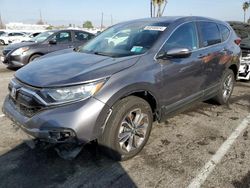 Salvage cars for sale at Van Nuys, CA auction: 2022 Honda CR-V EXL