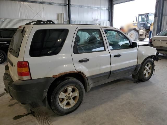 2005 Ford Escape XLT