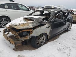 Salvage cars for sale at Elgin, IL auction: 2013 KIA Optima EX