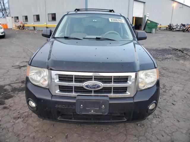 2008 Ford Escape XLT