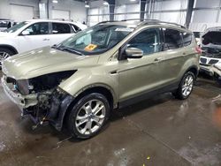 Salvage cars for sale at Ham Lake, MN auction: 2013 Ford Escape SEL