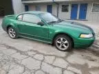 1999 Ford Mustang