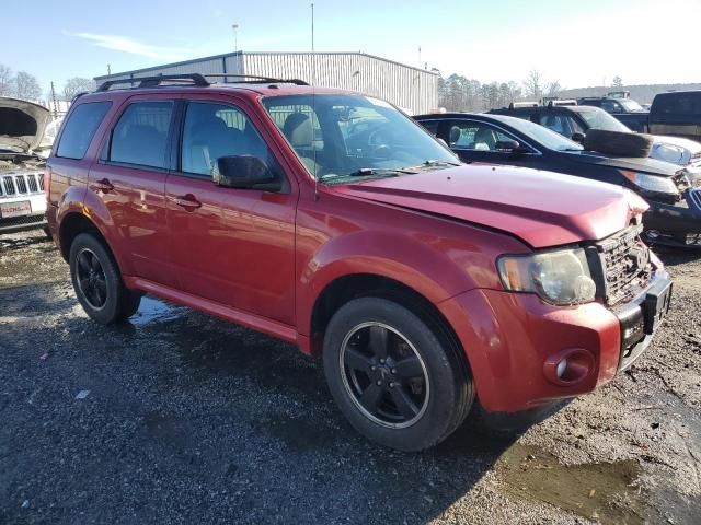 2009 Ford Escape XLT