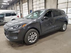 Ford salvage cars for sale: 2020 Ford Escape SE