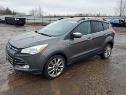 Ford Vehiculos salvage en venta: 2015 Ford Escape SE