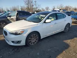 KIA Cadenza salvage cars for sale: 2014 KIA Cadenza Premium