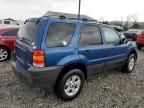 2007 Ford Escape XLT