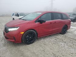 Honda Odyssey sp salvage cars for sale: 2024 Honda Odyssey Sport