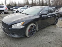 2014 Nissan Maxima S en venta en Waldorf, MD