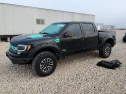 Camiones reportados por vandalismo a la venta en subasta: 2012 Ford F150 SVT Raptor