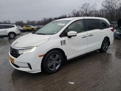 Honda Odyssey ex salvage cars for sale: 2022 Honda Odyssey EX