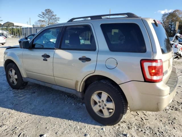 2010 Ford Escape XLT