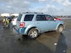 2008 Ford Escape HEV