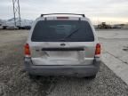 2001 Ford Escape XLT