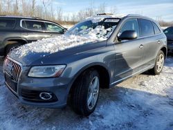 Audi salvage cars for sale: 2014 Audi Q5 TDI Premium Plus