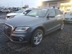 2014 Audi Q5 Premium Plus